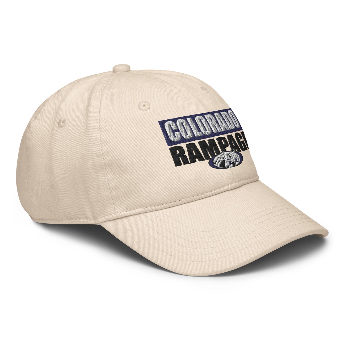 Champion dad hat